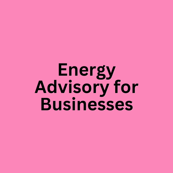 Energy Advisory for Businesses: $999 (Monthly)